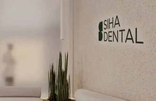 A white couch sitting next to a plant in a room.
