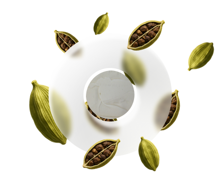 Cardamom