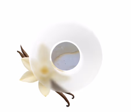 Vanilla