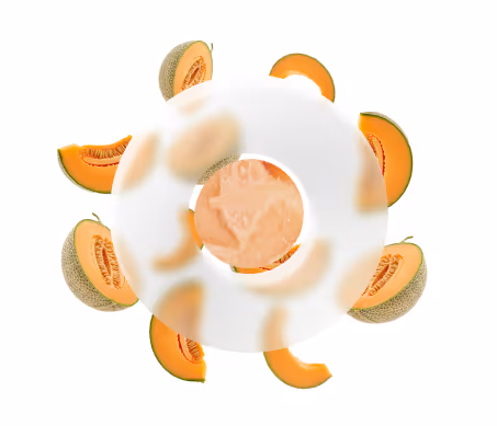 Cantaloupe Sorbet