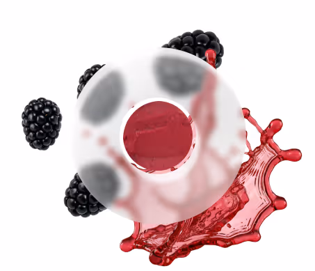 Blackberry Sorbet w/ Port