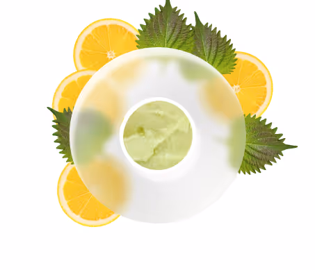 Yuzu Shiso Sorbet