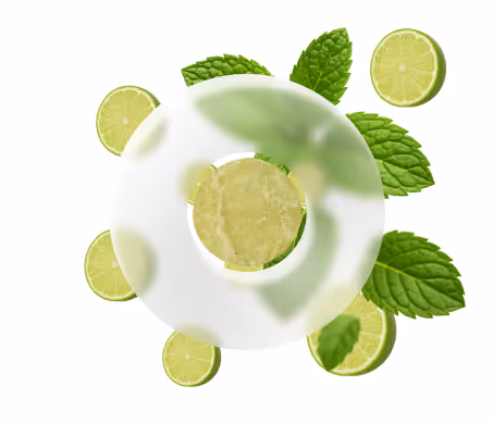 Lime Fresh Mint Sorbet