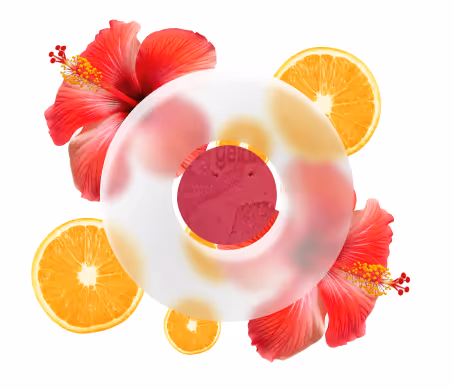 Orange Hibiscus Sorbet