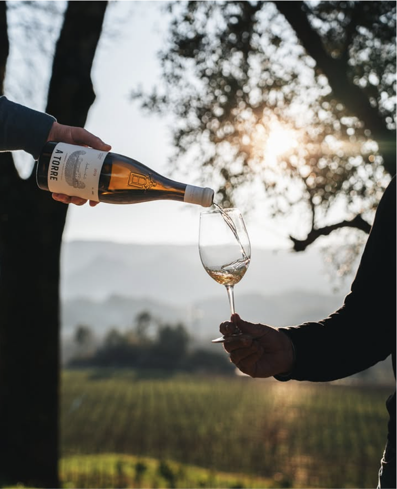 A Torre, é o resultado de uma espera paciente 2