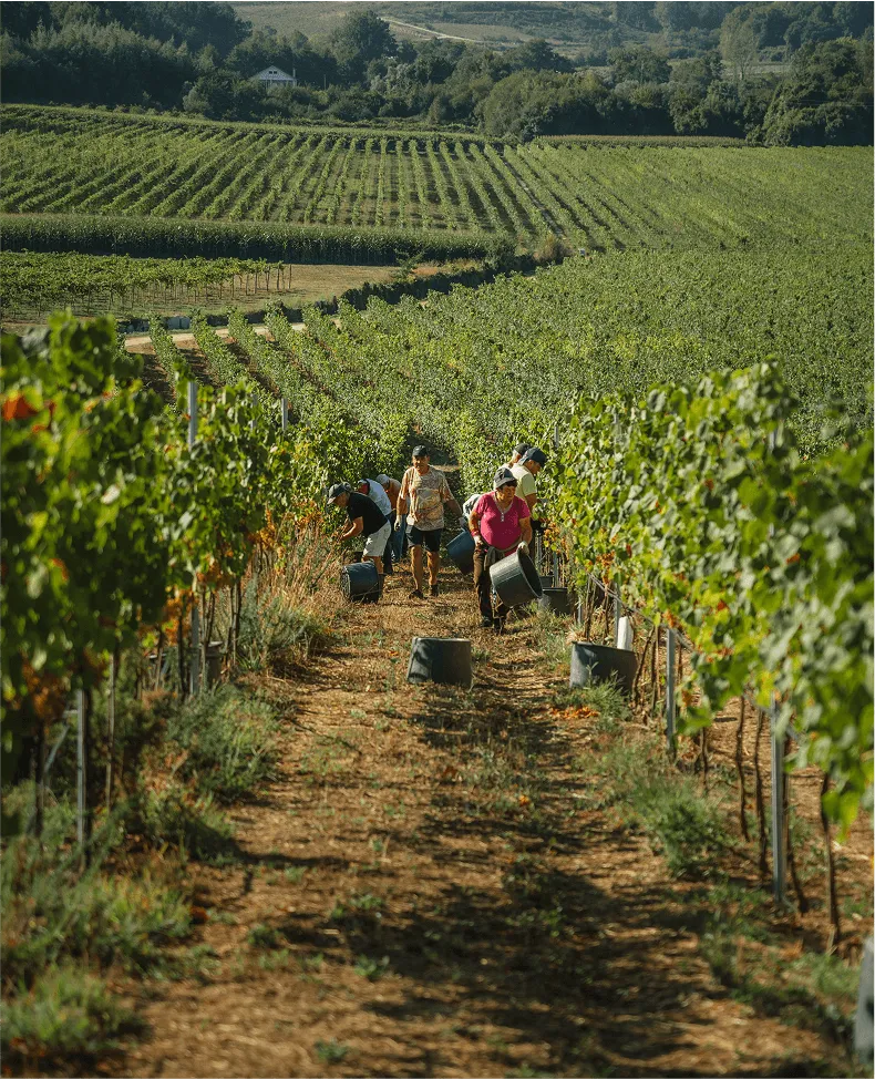 Qualidade e Segurança Alimentar