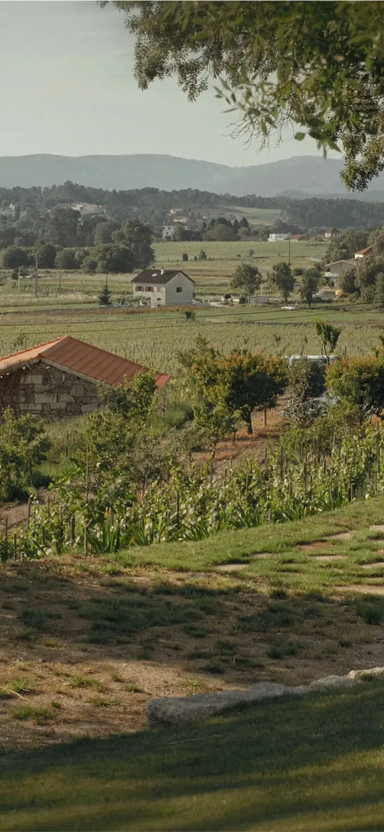 Quinta da Torre
