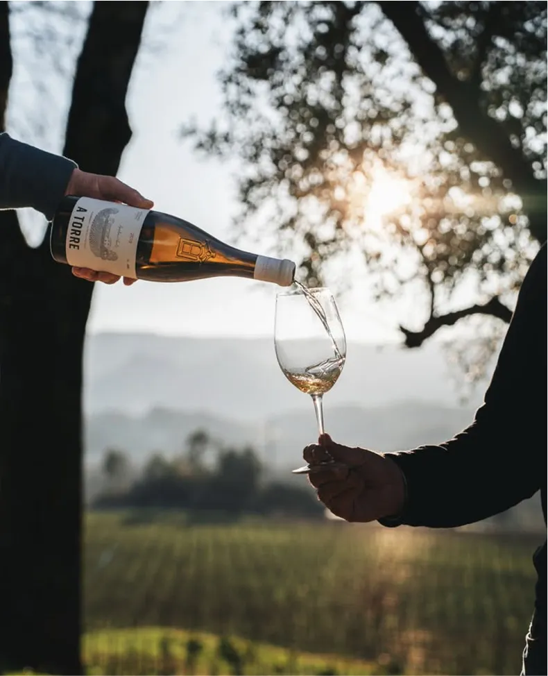 A Torre, é o resultado de uma espera paciente Copy