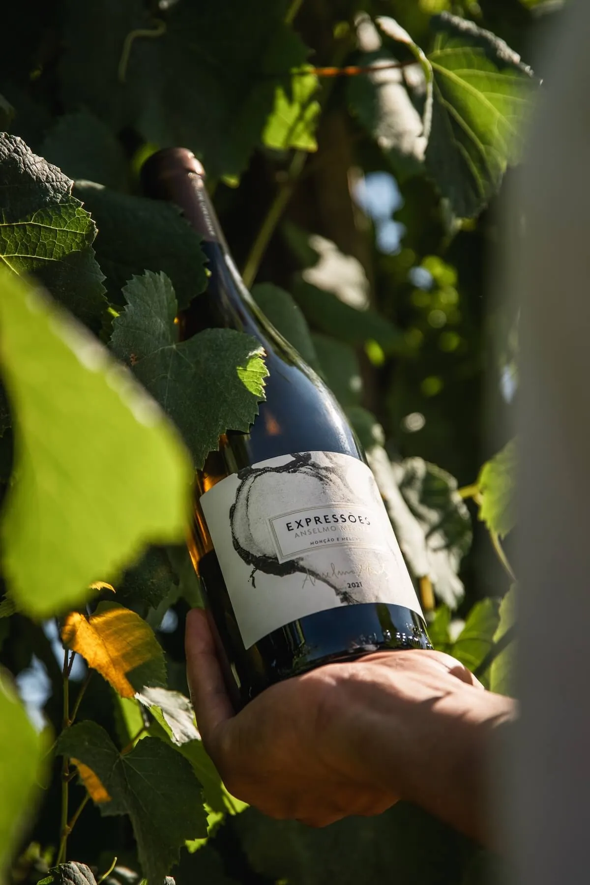 Expressões da Torre