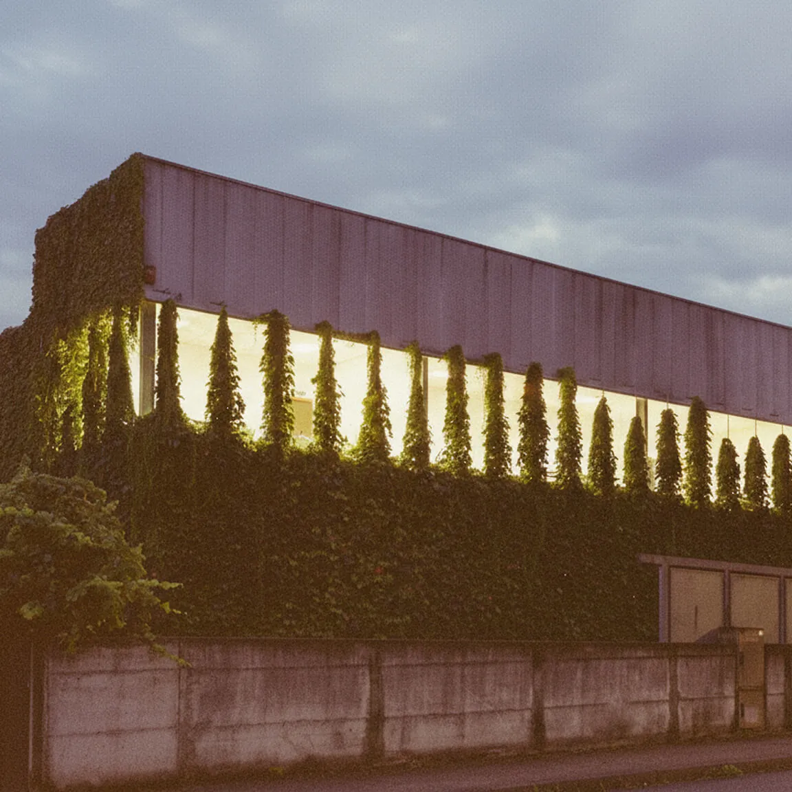 Construção da nova adega em Melgaço.