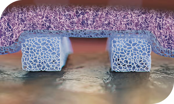 AlloFlo Uveo bio-tissue with magnified porous structure