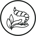 prime chiro spine icon