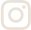 prime chiro instagram icon