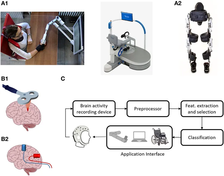 Innovative approaches to injury rehabilitation