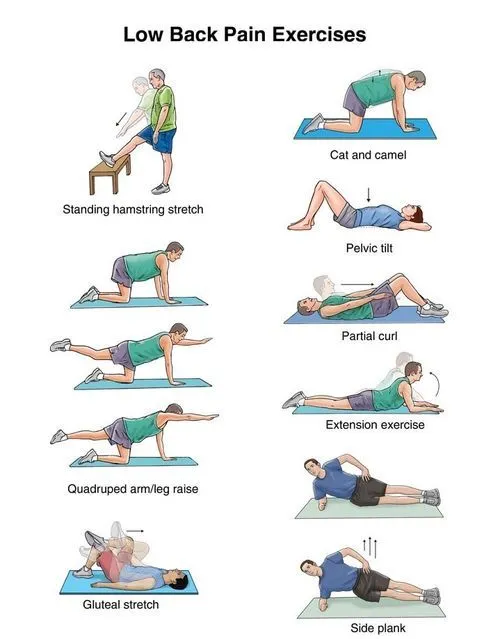 Physical therapy exercises