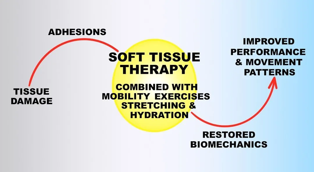 scientific explanation of soft tissue therapy
