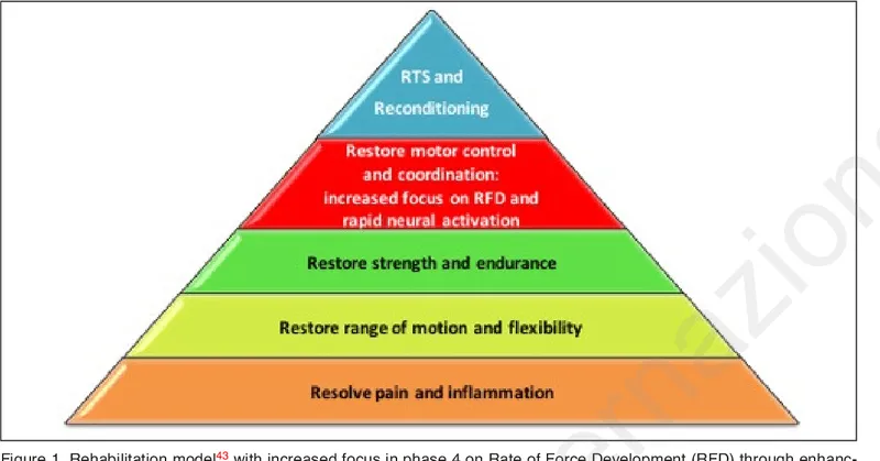 Injury rehabilitation process
