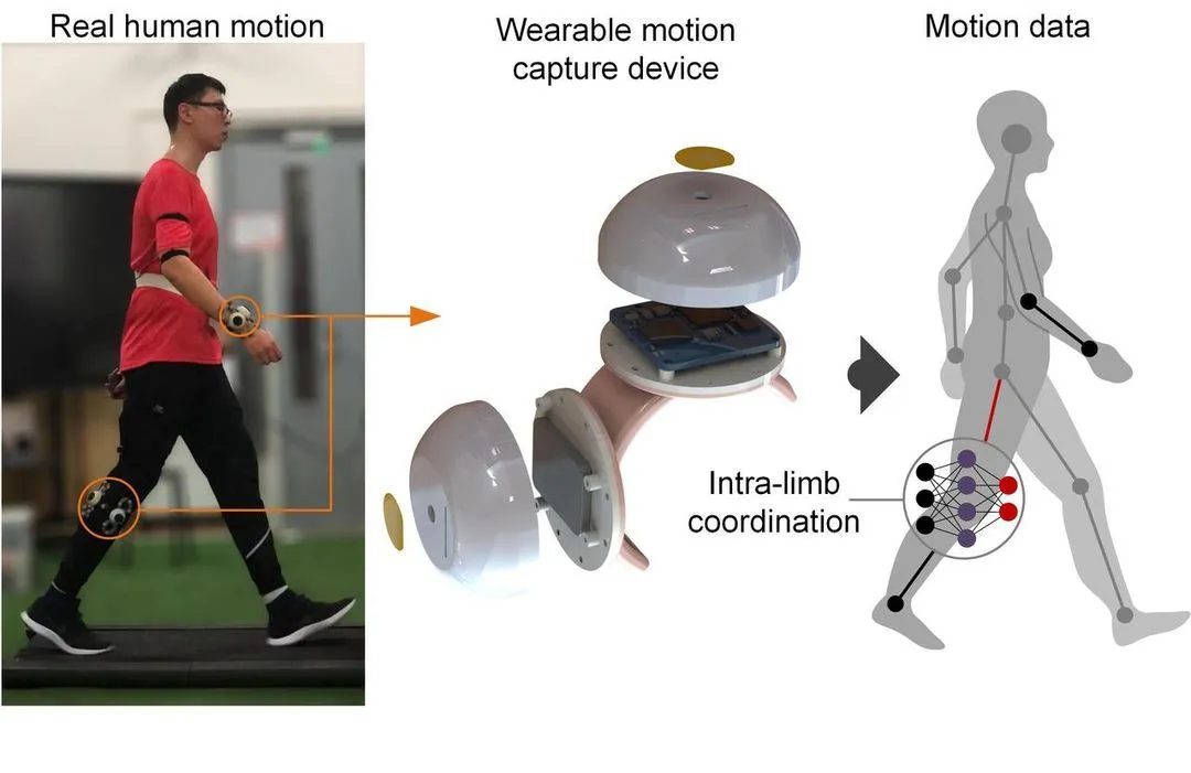 Wearable devices for tracking movement in rehabilitation