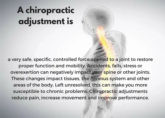 Anatomy and physiology involved in chiropractic care