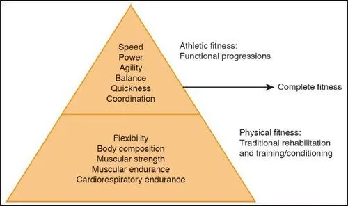 components of a functional rehabilitation program
