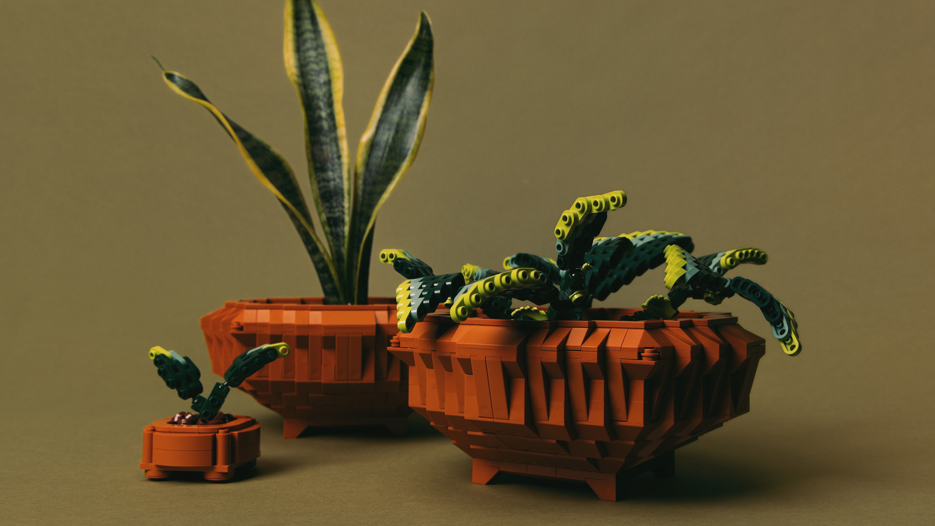 Article Thumbnail Image