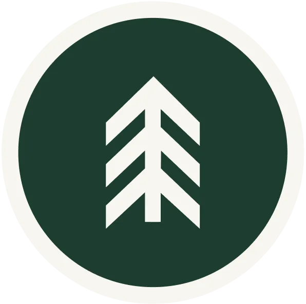 Ліс