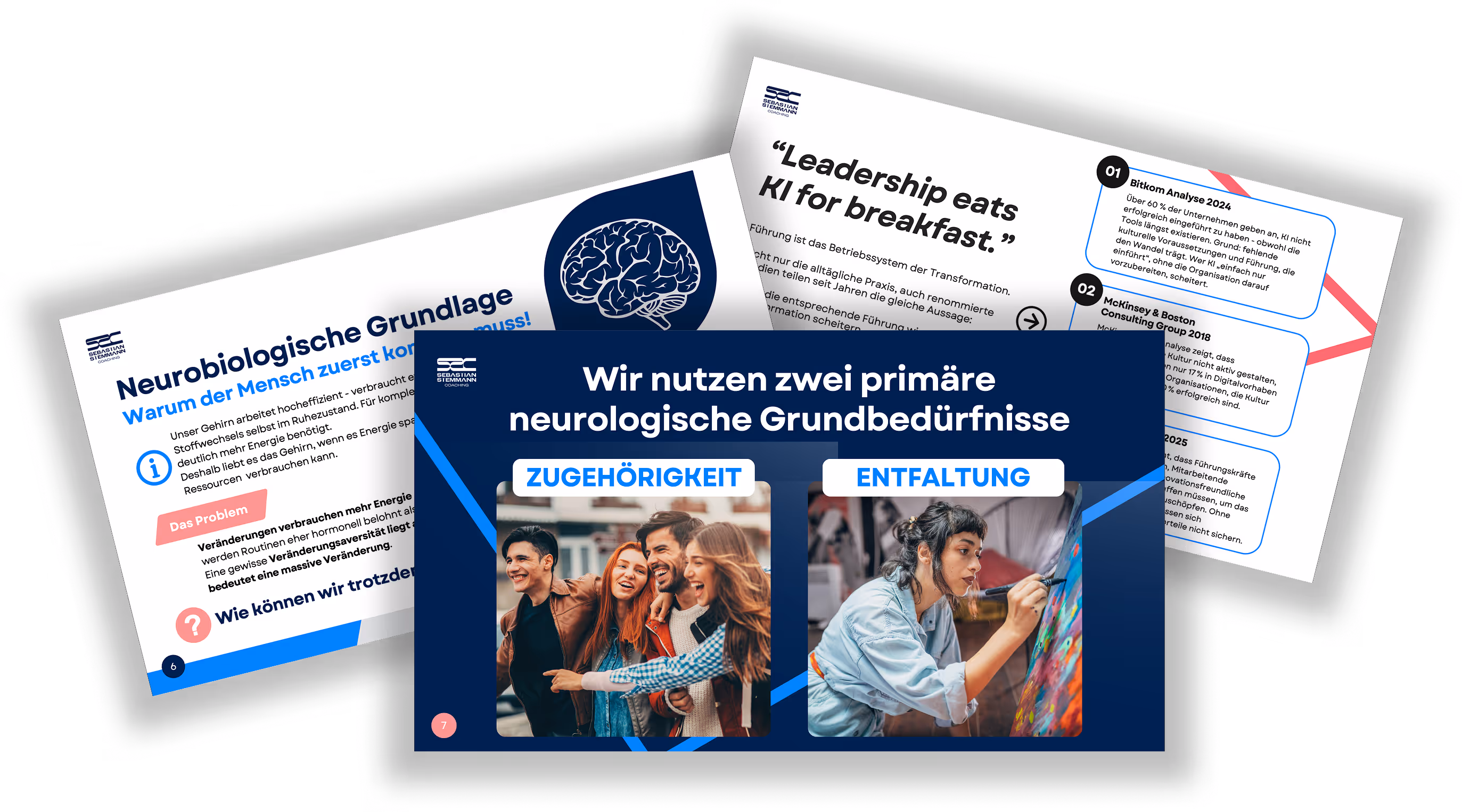 Leadership Whitepaper von Sebastian Stemmann