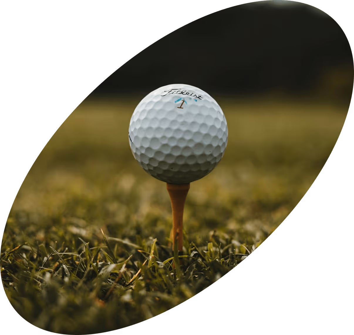 Golf ball on a Tee