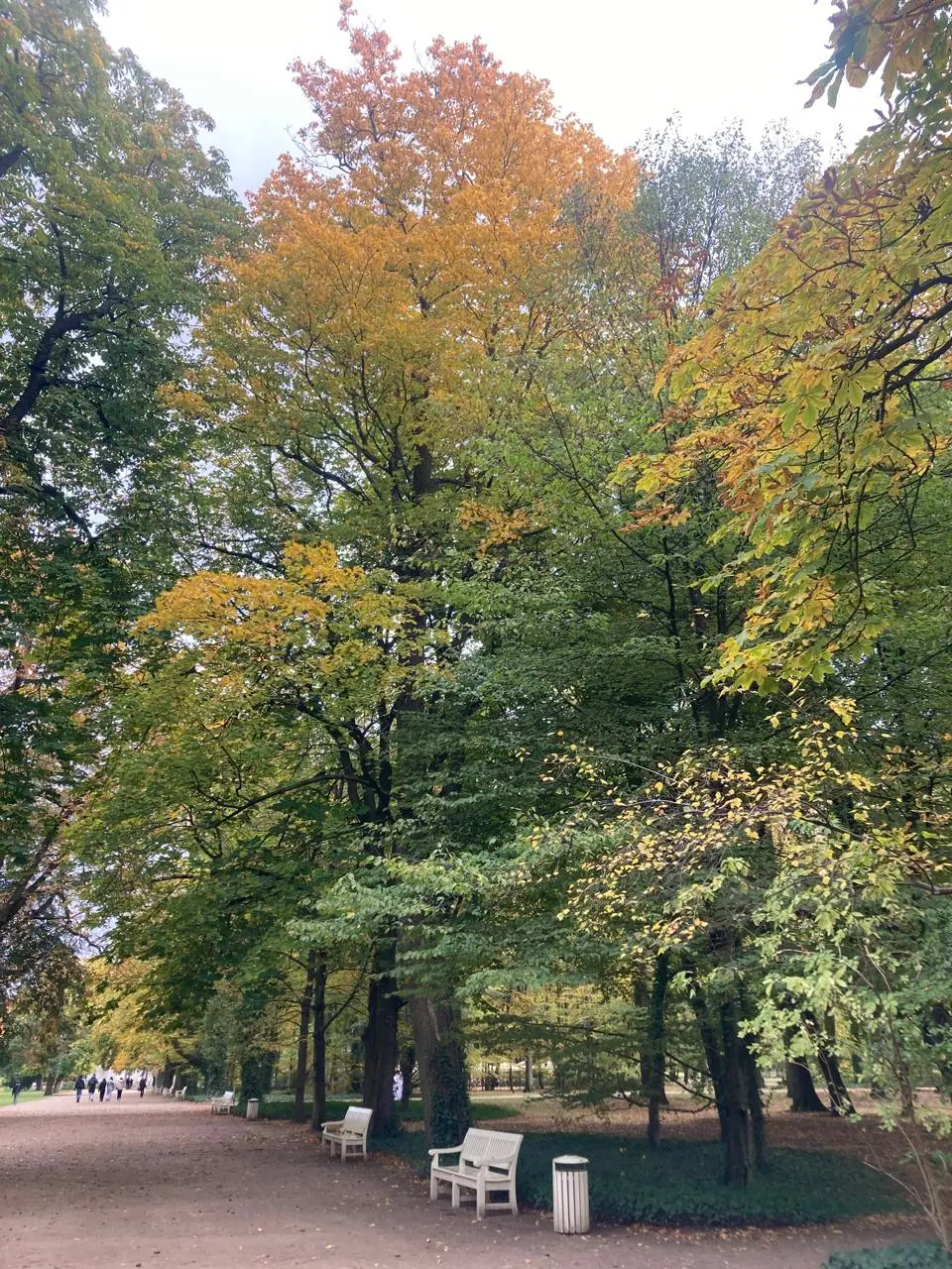 Piękne jesienne kolory w Łazienkach Królewskich.