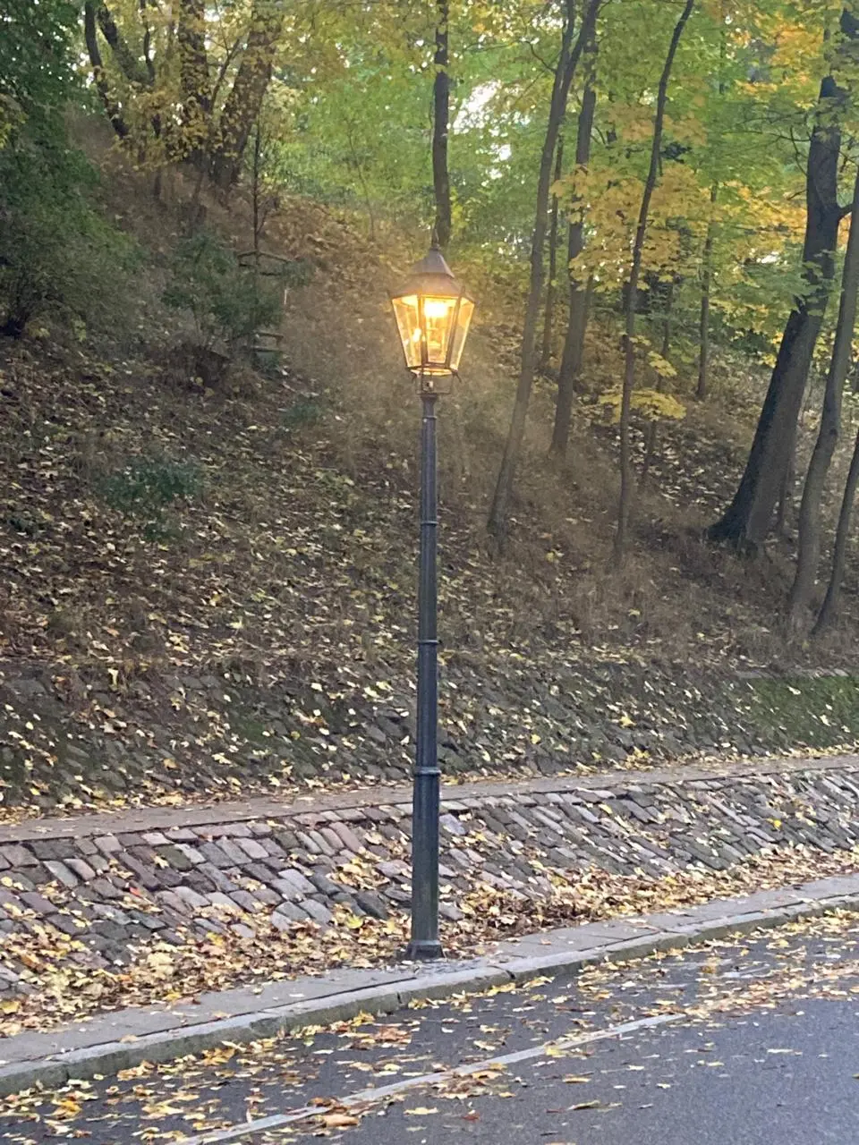 Czy jesteśmy w Narnii?