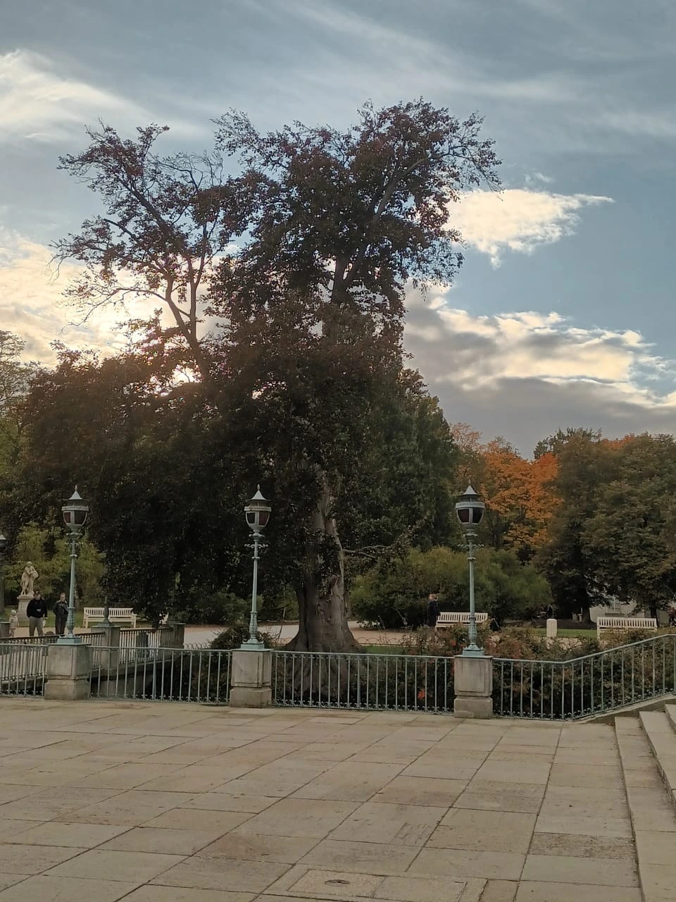 Jesienne kolory w Łazienkach przed Pałacem na Wyspie.