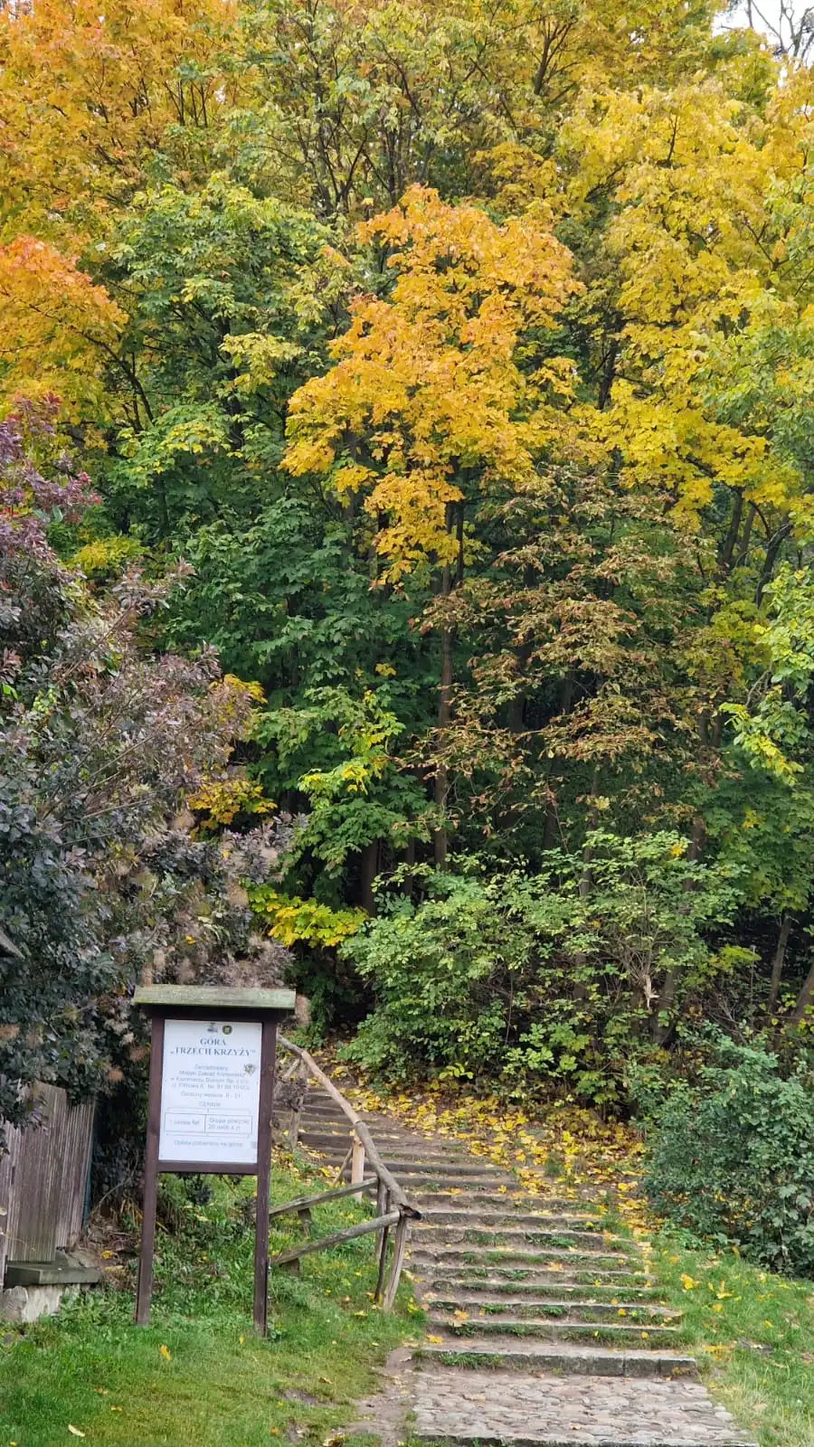 Piękne kolory na spacerze na Górę Trzech Krzyży w Kazimierzu Dolnym.