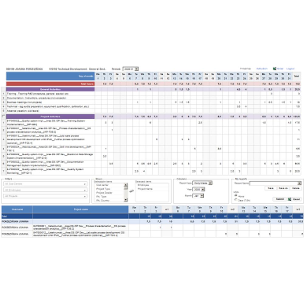 Controlling raportowanie czasu pracy- Case Study