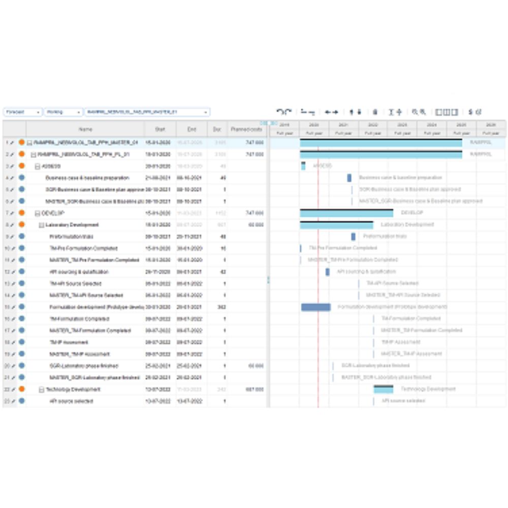 Controlling koszty projektowe - Case Study