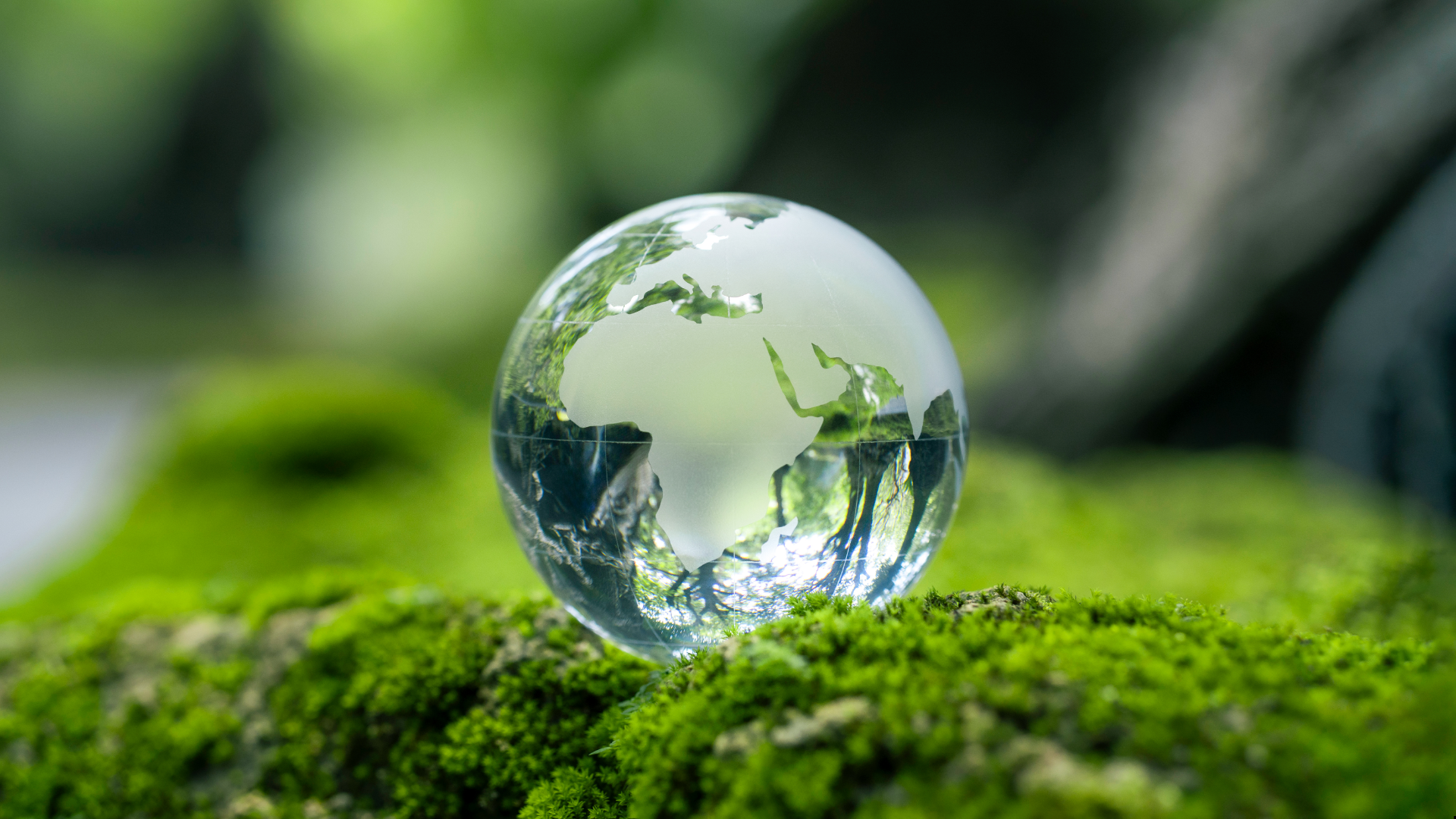 Glass globe resting on green moss, symbolising organisational accountability for environmental management under ISO 14001:2026