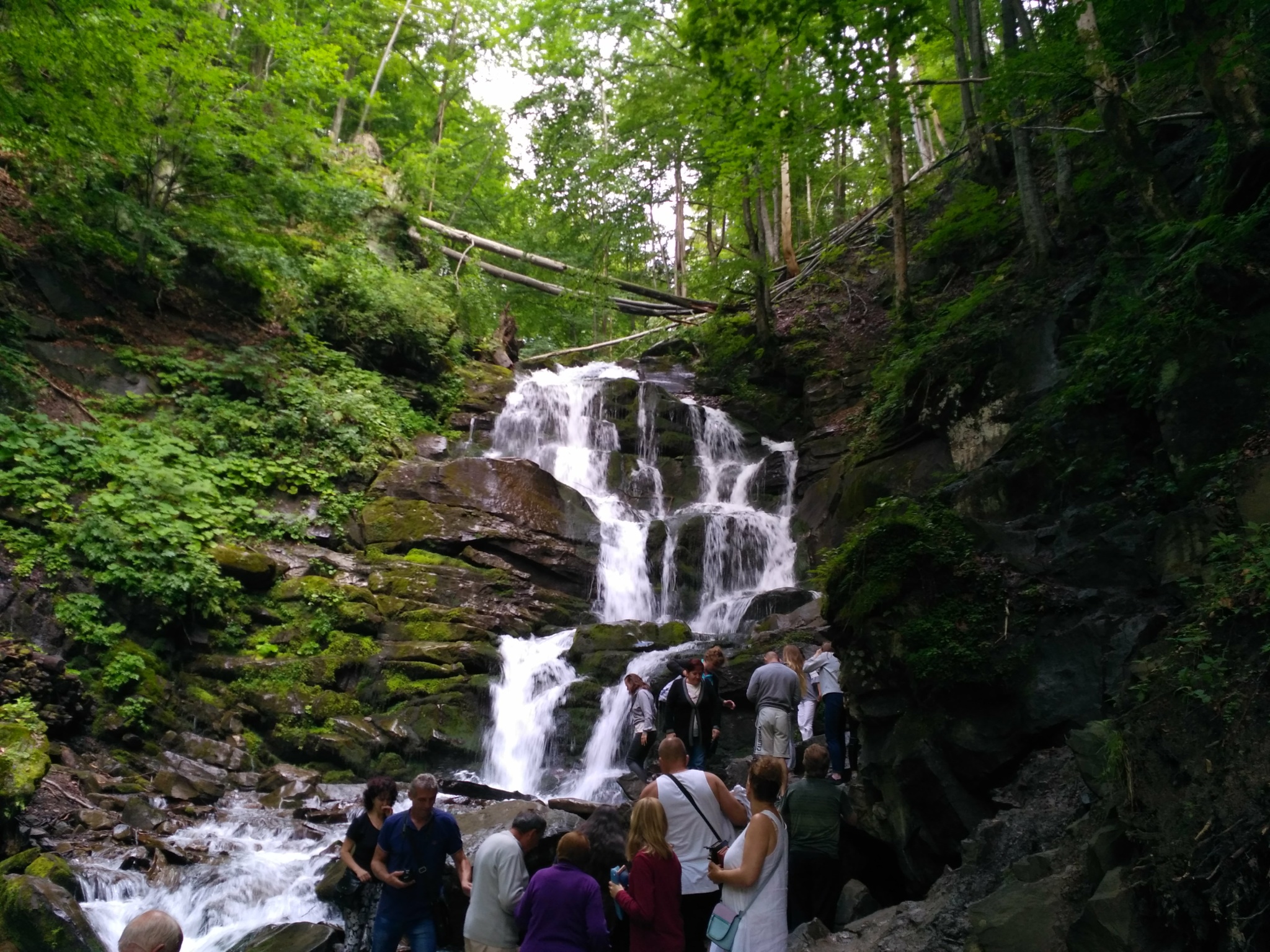 Downloadable Brochures, Market Trends Name PDF