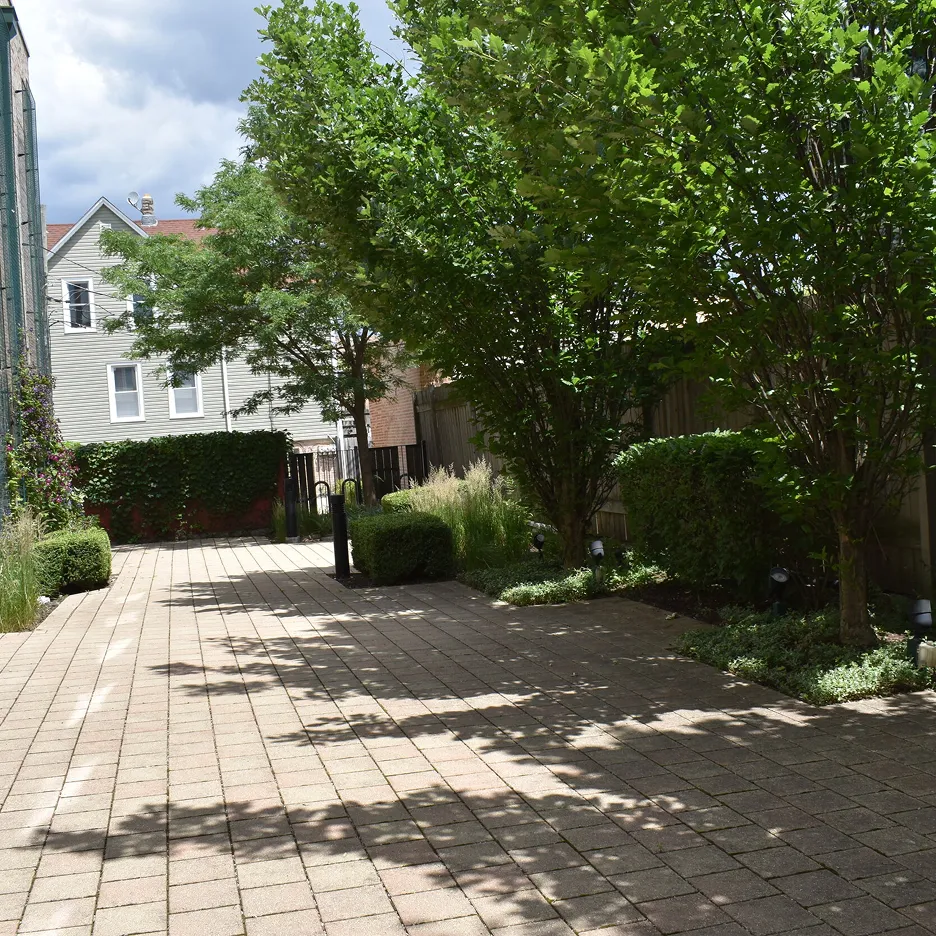 Brick-paved outdoor space lined with trimmed bushes and large leafy trees, residential houses visible in the background.