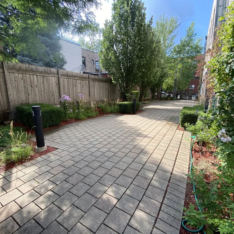 Sunlit paved walkway lined with bushes, trees, and a wooden fence on the left under a clear blue sky.
