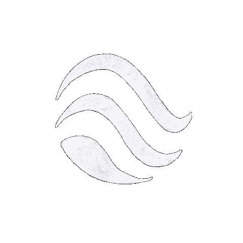 Sol Forms Ink account logo flashing