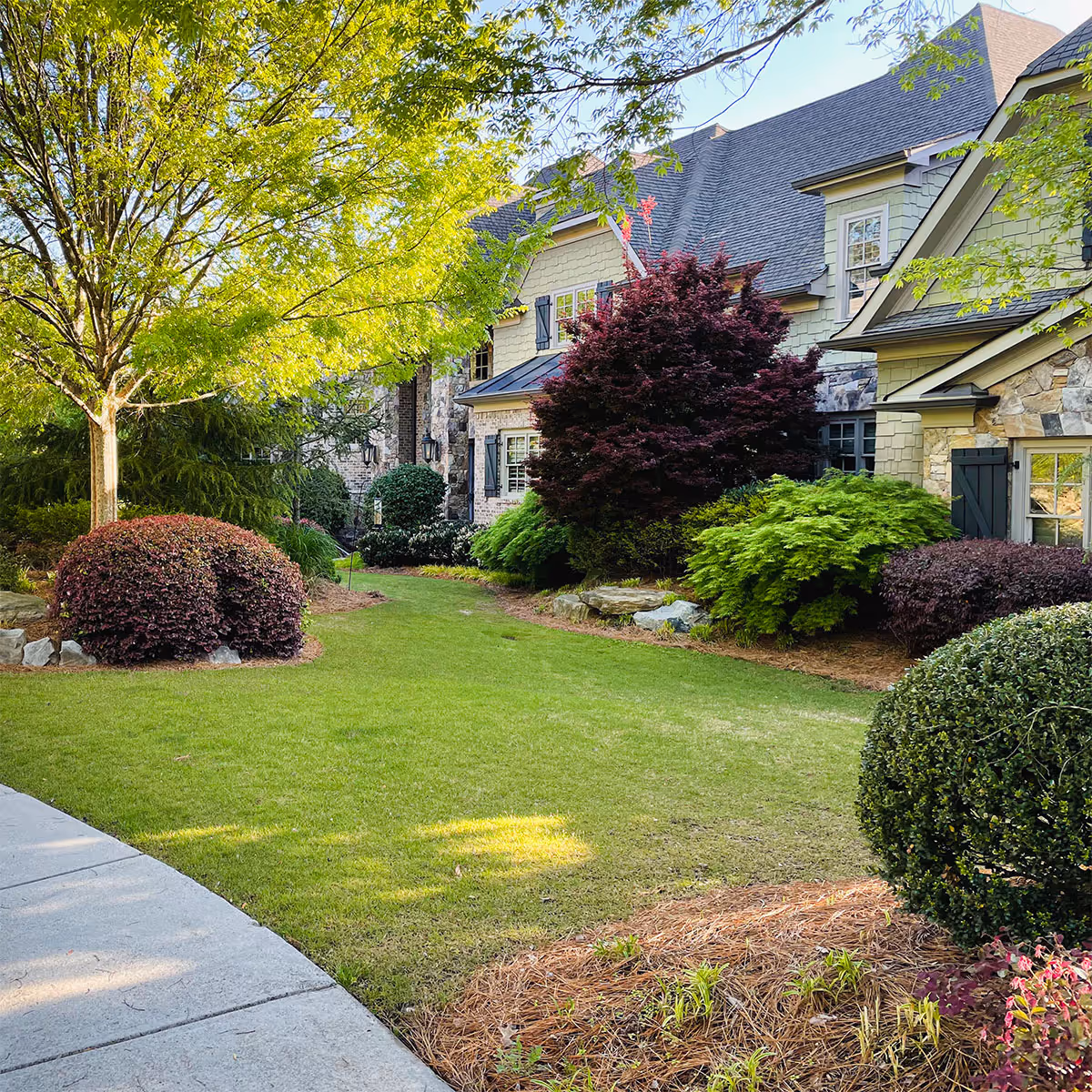 Residential Home front yard