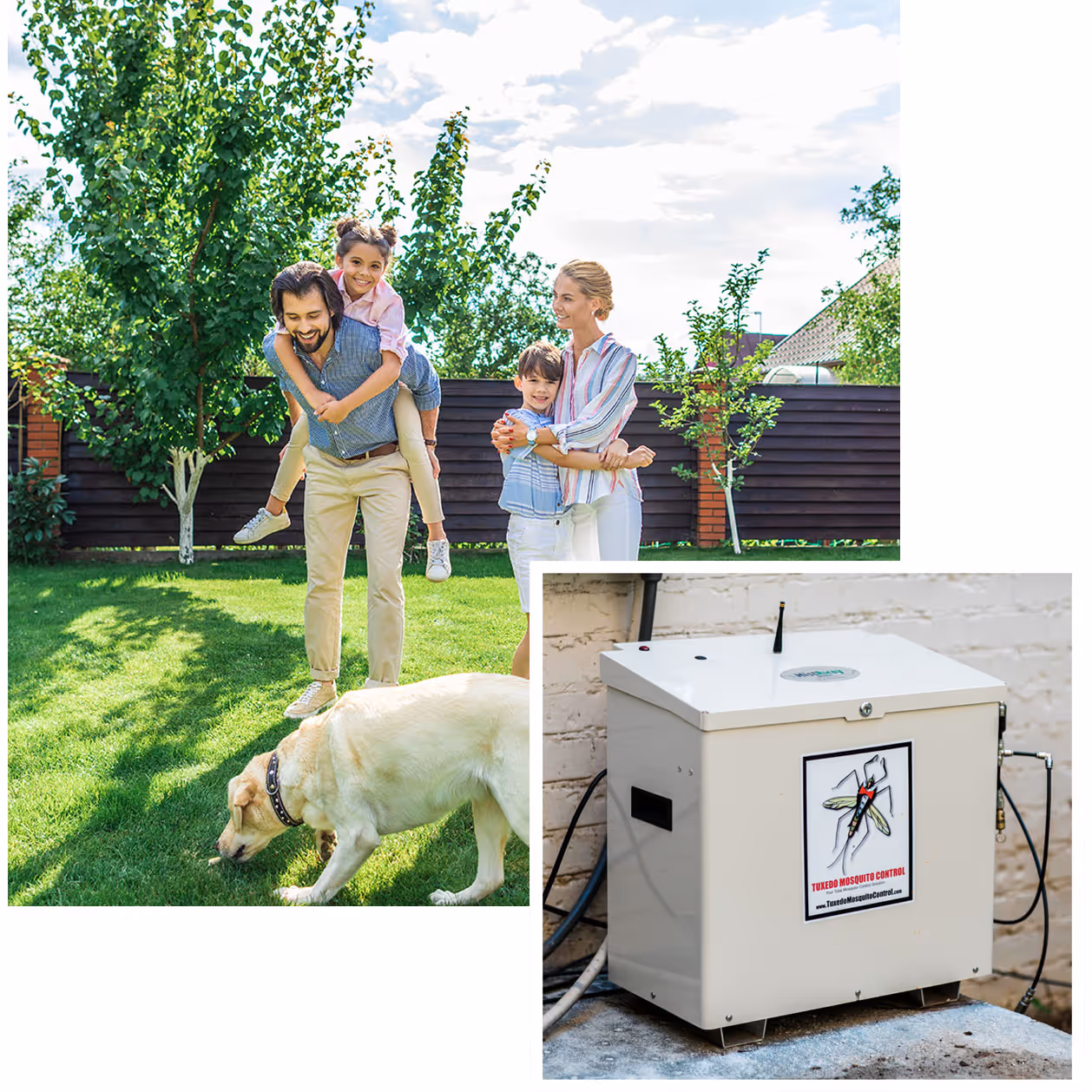 Family with misting system tank example