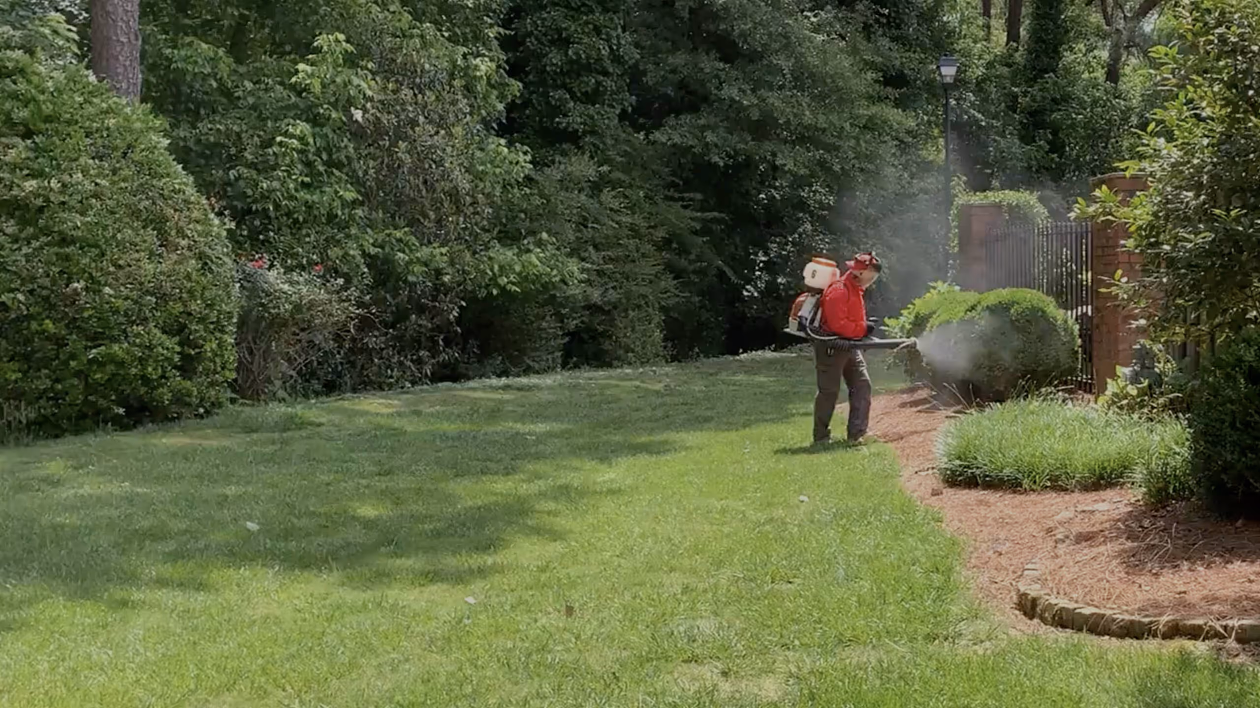 Person wearing red jacket and backpack sprayer spraying insecticide on bushes in a garden.