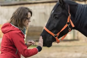 Hippotherapy