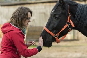 Hippotherapy 