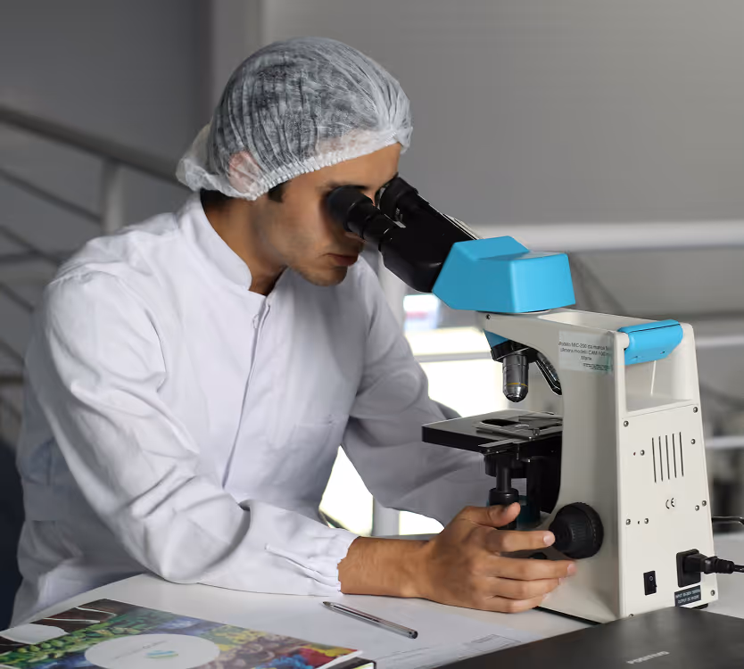 Scientist in a white lab coat and hair net looking through a microscope in a laboratory.