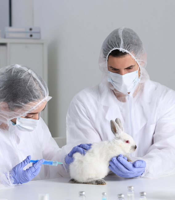 Two scientists in protective clothing and masks administering an injection to a white rabbit in a laboratory.
