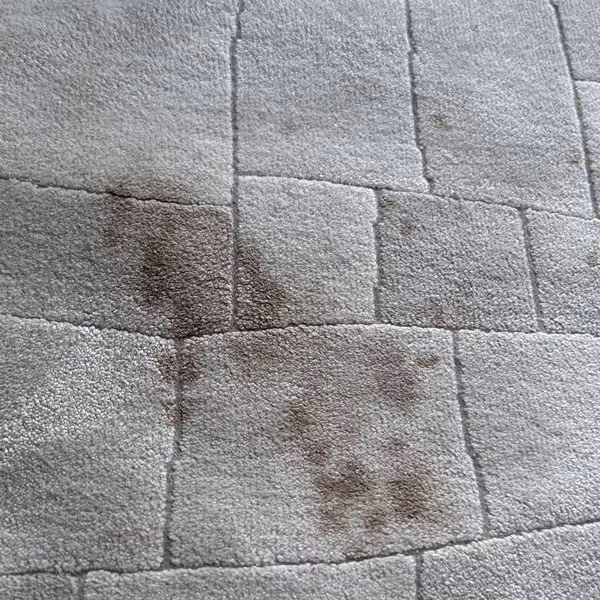 koberec pred tepovaním