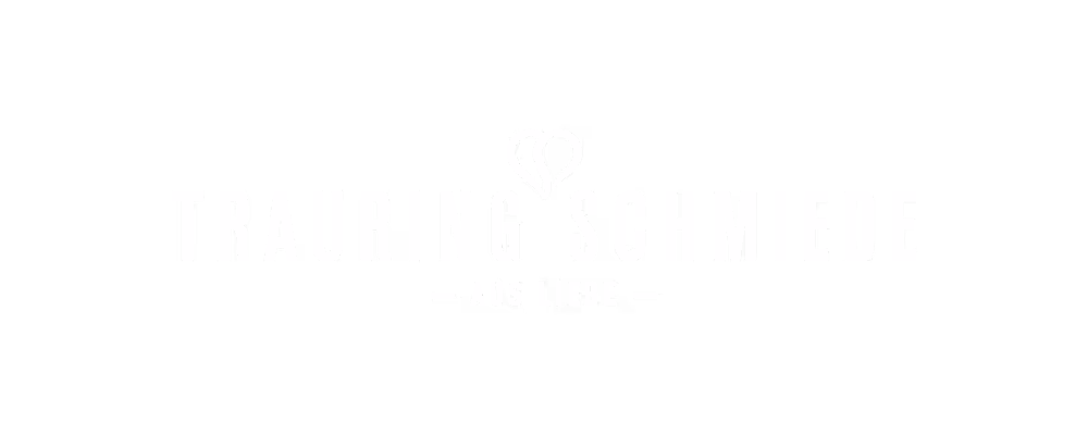 Trauringschmiede Logo