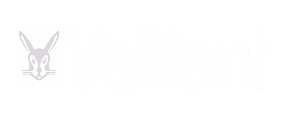 Vaillant Deutschland GmbH & Co. KG Logo