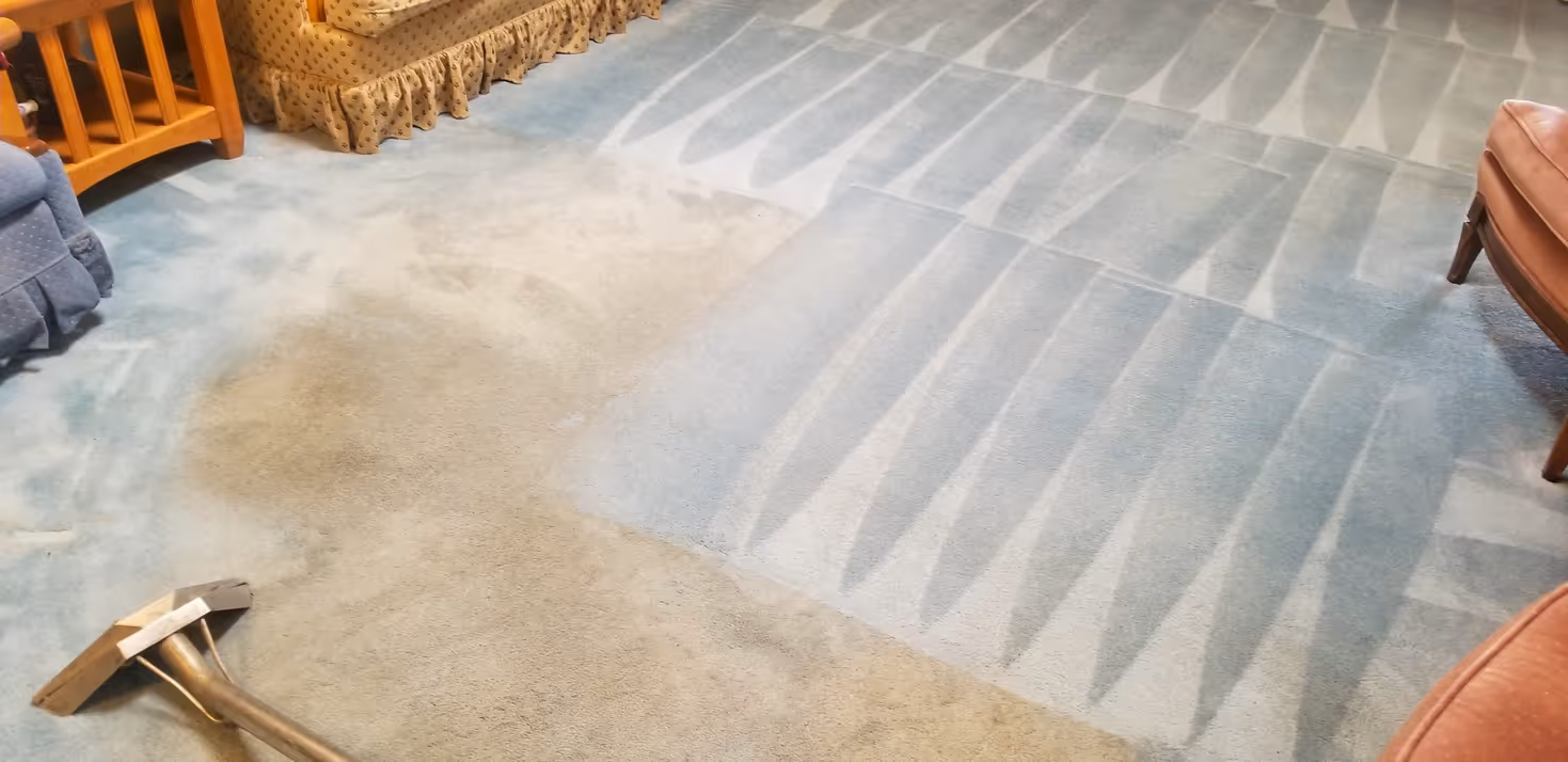 CloudClean carpet cleaning service - professional carpet deep cleaning showing dramatic before and after results